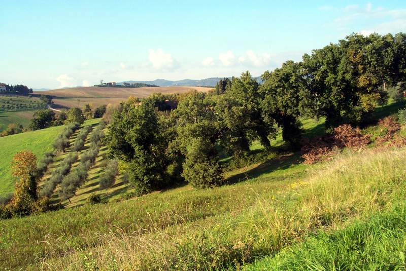 Umbria Immagini e Fotografie - Pilonico Paterno - panorama della natura